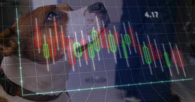 Köpek tasmasını gösteren ve odaya bakan, şamdan tablosu ile ticaret yapan. Köpek, hayvan, yerli, iş, mali, dijital, analitik