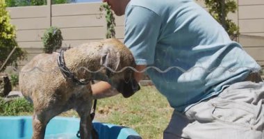 Hayvan bakımı, çim üzerinde diz çökmüş bir adamın köpeğini mavi havuza götürdüğünü ve kürkü duruladığını gösteriyor. Evcil hayvan banyosu, açık hava aktivitesi, köpek bakımı, doğa, güneşli bir gün, rahatlama.