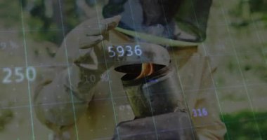 Tarım arıcısı kapağı kaldırıyor ve körüğü pompalıyor arıları sakinleştirmek için beyaz duman çıkarıyor. Hobi, zanaat, açık hava, kırsal, gelenek, doğal, çevresel