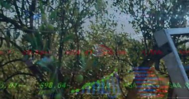 Finansal çizelgeler gösteriyor ki merdiven ve sepet zeytinlikte ROI büyümesi gösteriyor. Tarım, yatırım, teknoloji, doğa, üretkenlik, analitik, sürdürülebilirlik