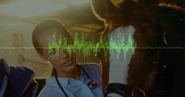 Veteriner steteskop yerleştiriyor ve atın kalp atışlarını izlerken yeşil dalga fırıldağına neden oluyor. At, veteriner, hayvan bakımı, binicilik, tıbbi, kırsal, teşhis