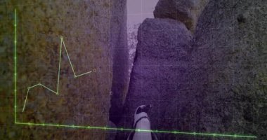 Kayalar boyunca büyüyen yeşil ızgara üzerinde penguen duruşunun değişmesi eğilimleri gözlemliyor. Coğrafya, veri görselleştirme, analitik, doğal ortam, modern tasarım, vahşi yaşam, gözlemsel