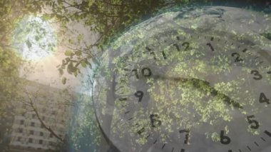 Güneş yaprakların arasından parlarken saat yüzünün görünmesine neden olurken el saat yönünde hareket ediyor. Doğa, kentsel, zaman, büyüme, ışık, perspektif, mimari