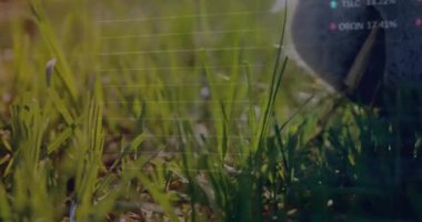 Mor makaslar çimenleri budarken keçi keçi keçileri kemiriyor ve trendleri gösteriyor. Bahçıvanlık, tarım, sürdürülebilir, doğa, dijital, yatırım, büyüme