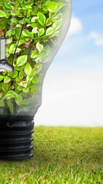 Mavi gökyüzü ve çimenler üzerinde bitkilerle dolu ampulün animasyonu. küresel koruma ve yeşil farkındalık kavramı dijital olarak oluşturulmuş video.