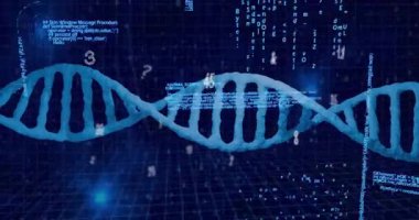 Turkuaz DNA sarmal sürüş kodlu sütunlar ortaya çıkıyor, sayısal etiketleri döndürüyor ve veri matrisini gösteriyor. Fütürist, dijital, biyoteknoloji, veri görselleştirme, soyut, teknoloji, yenilik