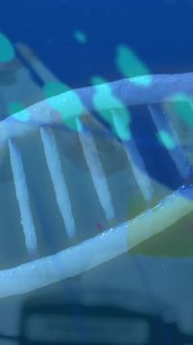 Laboratuvardaki beyaz bilim adamı üzerinde DNA ipliği ve veri işleme animasyonu. Küresel bilim, bilgisayar ve dijital arayüz kavramı dijital olarak oluşturulmuş video.