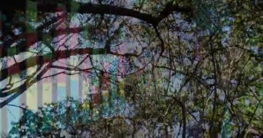 Arıza çubukları solda beliriyor, sağa kayıyor ve soluyor. Yoğun tepe örtüsünü ve gökyüzünü ortaya çıkarıyor. Doğa, ormanlık, dijital sanat, soyut, sükunet, çevre, atmosfer