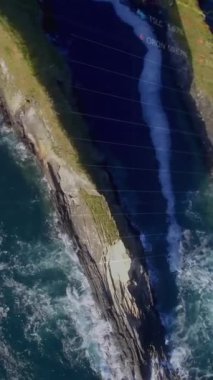 Finansal grafiklerin ve deniz ve kara üzerindeki verilerin animasyonu. küresel ekonomi, finans, sürdürülebilirlik ve doğa konsepti dijital olarak oluşturulmuş video.