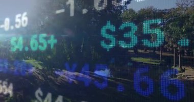 Güneşli park göleti yarı şeffaf kalp atışı görünüyor titreşen güncelleme değerleri canlı piyasayı gösteriyor. Doğa, teknoloji, finans, dijital, açık hava, tazeleme, büyüme