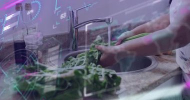 Ev aşçısının musluğu çevirmesi ve su altında yapraklı yeşillikleri durulaması. Bu arada arayüz yıkama ölçümlerini güncelliyor. Mutfak, hijyen, teknoloji, tazelik, yaşam tarzı, modern, sürdürülebilirlik