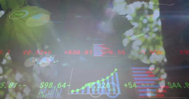 Güneş parlaması, arka plandaki yaprağın üzerinde HUD 'nin kaybolmasına, grafiklerin yükselmesine ve piyasa kazanımlarının görselleştirilmesine neden oluyor. Yapraklar, gölgelik, üst üste, finans, veri, göstergeler, bokeh