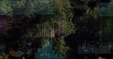 İHA 'lar aşağı iniyor, parktaki verileri ve kişiyi gösteren haritalar yer değiştirirken, paraşüt örtüsü çimenleri gösteriyor. Hava, doğa, açıklık, bank, gölgeler, güneş ışığı, üst üste