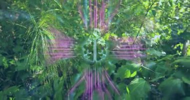 Neon-mavi beyin hatları ormanda beliriyor, devreleri genişletiyor, sinyal kodları atıyor ve verileri analiz ediyor. Teknoloji, yenilik, nöral, dijital, veri, bağlantı, geleceksel