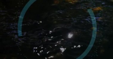 Yüksek çözünürlüklü halkalar kayboluyor ve asma kilidi ortaya çıkarıyor. Karanlık suyu kaplayan alevler güvenliği canlandırıyor. Kilit, kabartma, holografik, devre, dijital, geleceksel, neon