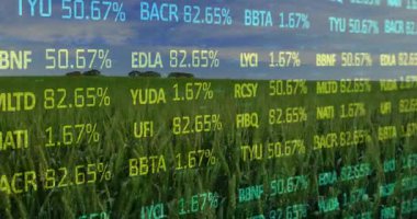 Alfanumerik kaplama güncelleme ve tarla üzerinde kaydırma, veriler ile etkinleştirilen ürün eğilimlerini göstermek için. Kalp, analitik, ekinler, saplar, parallax, ufuk, çiftlik