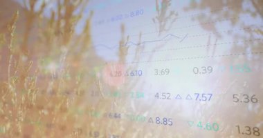 Güneşli rüzgârlar çimleri sallıyor, şeffaf veri tabloları pazar doğasını birbirine bağlıyor. Manzara, çayır, açık hava, esinti, minimalist, dingin, üst üste bindirilmiş