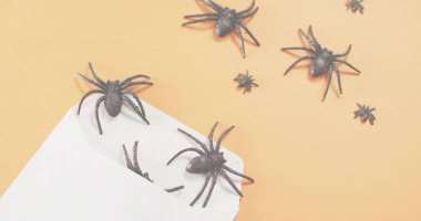 Şeftali arkaplanına kısmen açık beyaz bir zarfın siyah simli örümcekleri döktüğünü gösteriyor. Flatlay, mail, arachnid, ışıltı, cadılar bayramı, zanaat, dekor