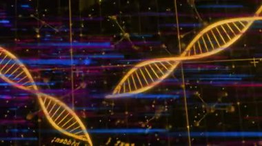 Yan taraflardan gelen sarmallar, altın DNA şeridi akışını başlatıyor. Verileri gösteren düğümler sallıyor. Helix, parıltı, ızgara, kromatik, fütüristik, soyut, parçacıklar