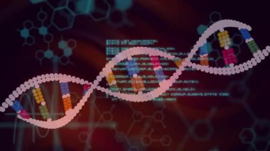 Sol ofset çift sarmal hareket ediyor, bazlar dönerken el sallıyor, kod biyolojik verileri açığa çıkarıyor. DNA, iplik, biyoteknoloji, dijital, soyut, neon, altıgen