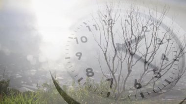 Güneş parlaması, yarı saydam saat yüzünün kayalıkların üzerinde yükselmesine, ellerin ilerlemesine ve zaman geçişini göstermesine neden oluyor. Kıyı, kaplama, saat, bokeh, otlar, ağaç, siluet