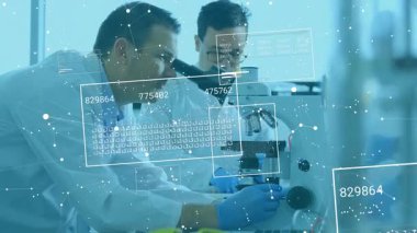 Laboratuar araştırmacıları örnek seçiyor ve mikroskobu ayarlıyor. Analiz için hareket eden örtüleri inceliyorlar. Bilim insanları, işbirliği, veri, görselleştirme, gün ışığı, bank, ekipman