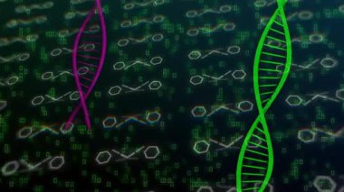 Başlangıç yeşilinde, hex ızgarası oluşurken mor sarmallar kayar ve piksel sayısı artar, verileri gösterir. Molekül, soyut, görselleştirme, dijital, hareket, parallax, matris