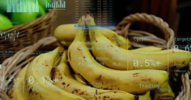 Zaman çizelgesi ilerliyor, piyasa HUD çöküyor ve muz ticaretini görselleştiren ölçüler üzerinde kayıyor. Sepet, meyve, üretim, perakende, kaplamalar, tablolar, halkalar