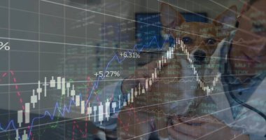 Beyaz laboratuvar önlüklü veteriner muayene odasında steteskoplu bronz köpek tutuyor, çizelgeleri örtüyor. Katmanlı, finans, klinik, evcil hayvan, doktor, bakım, sağlık