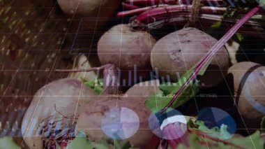 Ortaya çıkan örtüler, pancar kümesinin üzerinde titreşen yüksek çözünürlüklü grafikler, ekin verilerini gösteren kamera panelleri. Pancar, yeşillik, sepet, sicim, yakın plan, natürmort, kırsal