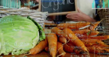 Organik panoyu ürünlerin üzerine koymak, elinde piyasa tabelaları tutan kadın sürüş satışlarının üstünü kapatıyor. Kiremit, lahana, havuç, elma, armut, sepet, ahşap