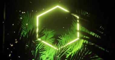 Siyah çerçeveli altın yıldızlar parlıyor, neon altıgenler parlıyor ve palmiye yapraklarını aydınlatıyor. Parlak, uğursuz, çokgen, tropikal, yeşillik, siluet, parçacıklar