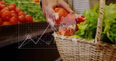 Erkek alışverişçi, perakende HUD haritası ve harita değişimi için sepetleri domateslerle dolduruyor, topluyor, topluyor. Pazar, üretim, yeşiller, el, kapanış, kaplama, analiz