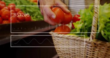 Alışveriş yapan kişi sebze almak için domates topluyor, alışveriş sepetine koyuyor, güncelleme tezgahlarını örtüyor. El, hasır, yeşiller, sebzeler, pazar, ekran, yakın çekim