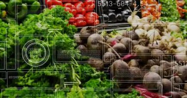 Yüksek çözünürlükteki bitkiler ve pancarlar taranıyor, yer değiştiren, güncellenen stoklar. Pazar, üretim, maydanoz, pancar, sarımsak, biber, tepsi