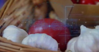 Kamera düzgün çalışıyor, sarımsak ve sarımsak domatesleri karton kutuda, HUD ürünleri sergiliyor. Allium, fruit, basket, tepsi, asma, saman, rustik