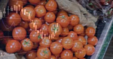 Oyuna başlarken kırmızı domates yığınının üzerinde canlandırma yapmak, çubukların kayması, pazar eğilimlerini göstermek. Üret, çuval bezi, sandık, şamdan, grafik, yakın çekim, parlak