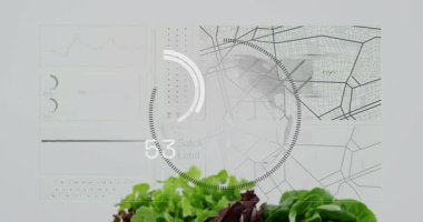 Globe ve HUD görünüyor, dairesel gösterge tırmanışı, yeşil yapraklar kayıyor, tazelik ölçümleri gösteriyor. Sebzeler, sayaç, stüdyo, görselleştirme, kaplama, veri, ilerleme