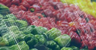 Çan biberleri sabit kalırken şeffaf HUD sağdan kayıyor ve veri örtüsü başlatılıyor. Capsicum, üretim, sebze, pazar, sandık, renkli, canlı