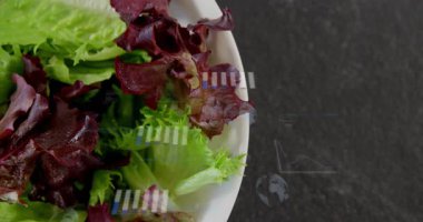 Beyaz kase kamerayı sabit tutarken HUD grafikleri salata verilerini görselleştiriyor. Yeşiller, romain, tabak, levha, ışıklandırma, kaplama, dünya