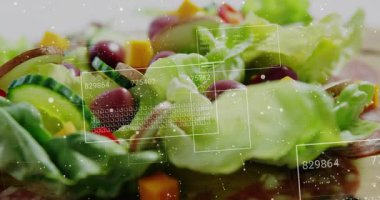 Yüksek çözünürlüklü salata görünüş ve tarama örtüleri, besin değeri göstermek için çoğaltılma ve güncelleme. Kapanış, yeşiller, plaka, ızgara, dijital, stüdyo, masa üstü