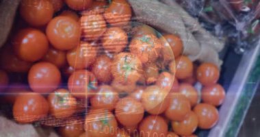 Örtülme zayıflıyor, İHA titreşiyor ve yoğun kırmızı domatesleri tarıyor, ikmal verilerini görselleştiriyor. Üretim, çuval bezi, sandık, pazar, analitik, metrik, ar