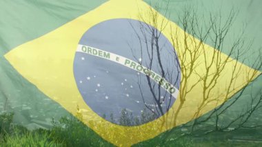 Hafif esintiyle tetiklenen, şeffaf Brezilya bayrağı dalgalanan, dalgalanan, ortaya çıkan yamaç yerleşimi. Şeffaf, örtülü, çayır, manzara, bulutlu, kırsal, ağaç