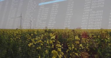 Terminal kaplama başlangıç çerçevesi üç üzerinde kolza alanı üzerinde, mavi çubuk genişliyor, ekin verileri gösteriliyor. Çiftlik arazisi, kanola, sarı, rüzgâr tarlası, ufuk, kırsal, açık hava