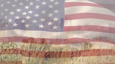 Rüzgar esiyor, uzun otların arasında dalgalanan Amerikan bayrağı çizgilerin arasından belli belirsiz bir siluet çiziyor. Sancak, kum tepeleri, şehir manzarası, örtüşme, şeffaf, hareket, sallanma