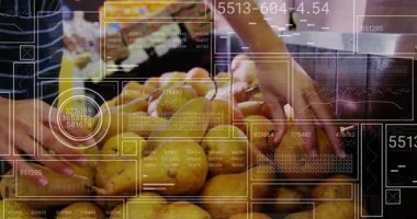 Alışverişçilerin elleri armut yığınına uzanıyor ve meyve eleme, HUD kaliteyi kaplıyor. Pazar, market, vitrin, sandık, ikili, yakın çekim, doku