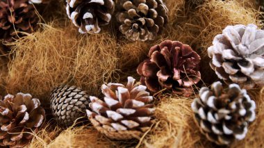 Buzlu çam kozalakları düz dizayn ev dekorasyonunda saman liflerinin üzerinde duruyor. Kırsal, desenli, mevsimsel, doğal, rahat, dekoratif, ayrıntılı