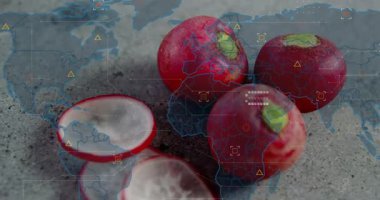 Gri levhada oturan üç turp ve dilimler, harita soluyor, HUD görüntü verilerini canlandırıyor. Kök, sebze, masa üstü, stüdyo, doku, kayrak, fütüristik