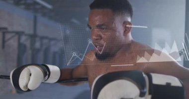 Boksör iplere yaslanıyor, veri besleme hattını izliyor, göğüs sporları analitiği boyunca bar çizelgeleri. Sporcu, boks, eldiven, yüzük, spor salonu, ter, odak