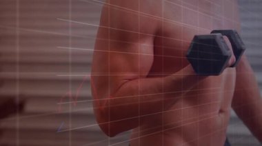 Altıgen dambılı tutan adam ölçümleri gösterirken biseps kıvrımlarını tekrarlıyor. Erkek, kaslı, gövde, kol, ağırlık, kaldırma, analiz